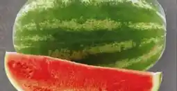 Edeka Wassermelonen Dumara Angebot