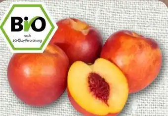 nahkauf Rewe Bio Nektarinen Angebot