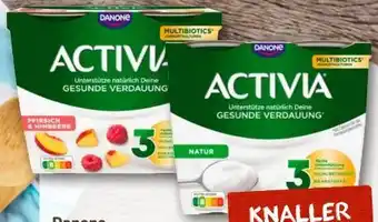 nahkauf Danone Activia Joghurt Angebot