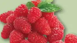 REWE Center Rewe Regional Himbeeren Angebot