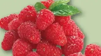 REWE Center Rewe Regional Himbeeren Angebot