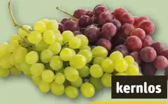 REWE Center Tafeltrauben-Mix Angebot