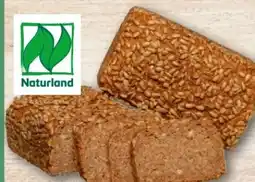 REWE Center Rewe Back-Station Bio Roggenvollkornbrot Angebot