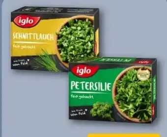 REWE Center Iglo Petersilie Angebot