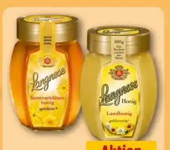 REWE Center Langnese Honig Sommerblüte Angebot