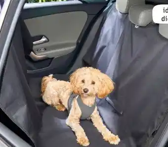 REWE Center ZooRoyal Hunde Autoschondecke Angebot