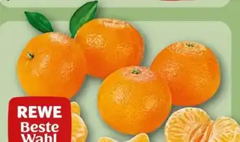 REWE Rewe Beste Wahl Clementinen Angebot