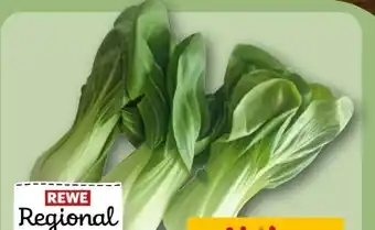 REWE Rewe Regional Pakchoi Angebot