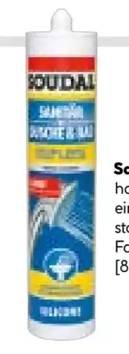 BayWa Soudal Sanitärsilikon Angebot