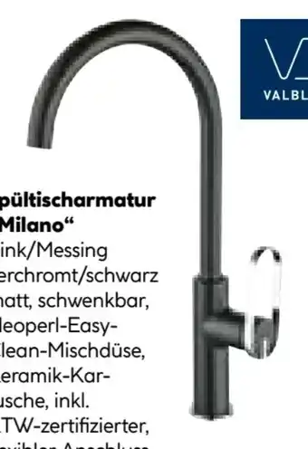 BayWa Valblue Spültischarmatur Milano Angebot
