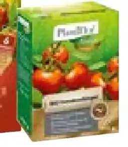 BayWa Plantiflor Bio Tomatendünger Angebot