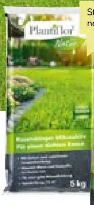 BayWa Plantiflor Rasendünger Angebot