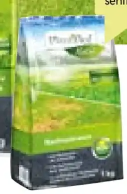 BayWa Plantiflor Reparatur-Nachsaatrasen Angebot