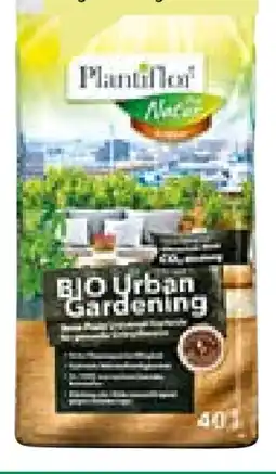 BayWa Plantiflor Bio Urban Gardening Angebot