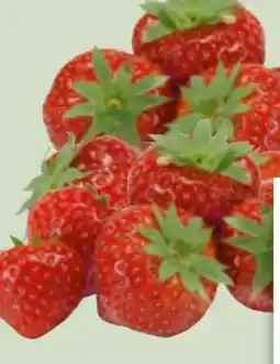 Edeka Xpress Bio-Erdbeeren Angebot