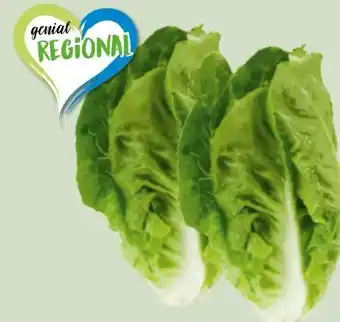 Edeka Xpress Mini-Romanasalat Angebot