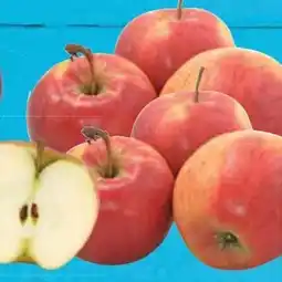 E-Center Tafeläpfel Gala Angebot