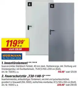 toom Baumarkt HORMANN Innentürelement Angebot