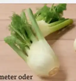 tegut Bio-Fenchel Angebot