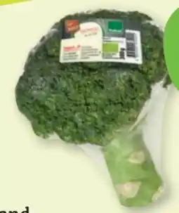 tegut Bioland tegut... Bio-Brokkoli Angebot