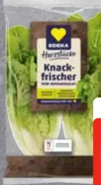 Edeka Frischemarkt Edeka Herzstücke Mini Romana Salat Angebot