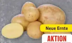 Edeka Frischemarkt Unsere Heimat Speisefrühkartoffeln Angebot