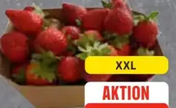 Edeka Frischemarkt Erdbeeren XXL Angebot