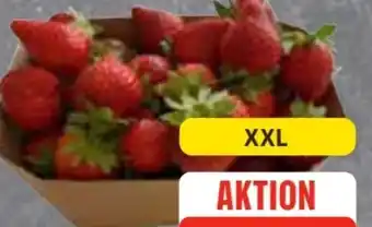 Edeka Frischemarkt Erdbeeren XXL Angebot