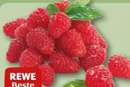REWE Center Rewe Beste Wahl Frische Himbeeren Angebot