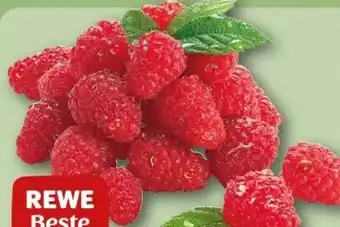 REWE Center Rewe Beste Wahl Frische Himbeeren Angebot