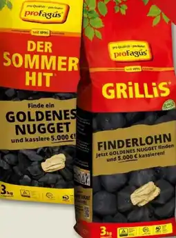 REWE Center proFagus Holzkohlebriketts Grillis Angebot