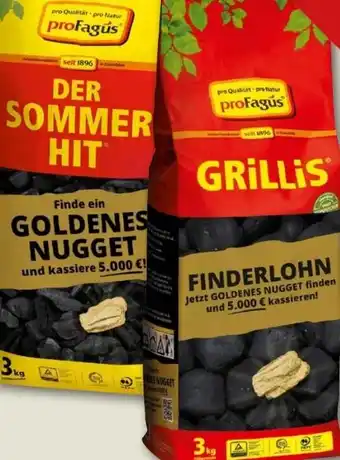 REWE Center proFagus Holzkohlebriketts Grillis Angebot