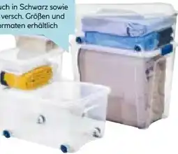 Hellweg Combi-Box Angebot