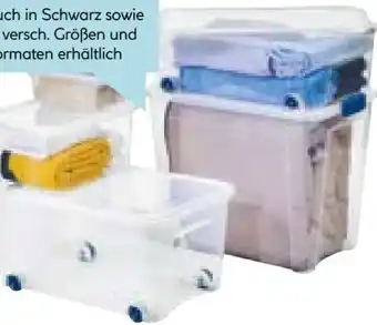 Hellweg Combi-Box Angebot