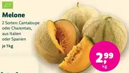 Biomarkt Melone Angebot