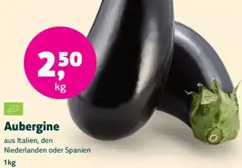 Biomarkt Aubergine Angebot