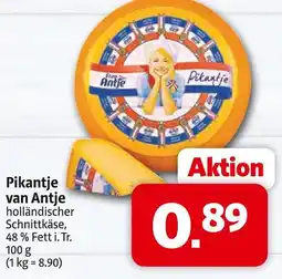 Markant Van antje pikantje Angebot