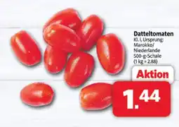 Markant Datteltomaten Angebot
