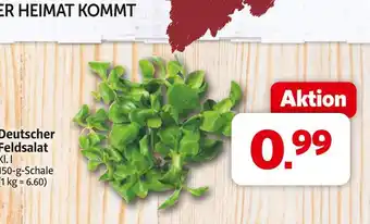 Markant Deutscher feldsalat Angebot