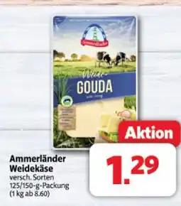 Markant Ammerländer weidekäse Angebot