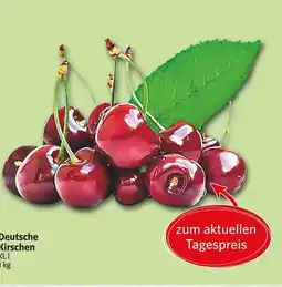 Markant Deutsche kirschen Angebot
