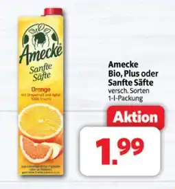 Markant Amecke bio Angebot