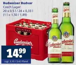 Getränkewelt Budweiser budvar czech lager Angebot