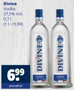 Getränkewelt Divine vodka Angebot