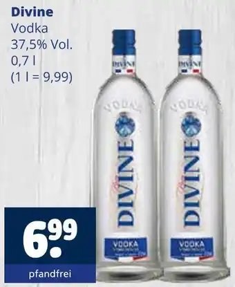 Getränkewelt Divine vodka Angebot