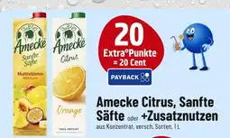 trinkgut Amecke amecke citrus, sanfte säfte oder +zusatznutzen Angebot