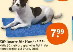 tegut Kühlmatte für hunde Angebot