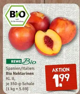 nahkauf Rewe bio bio nektarinen Angebot