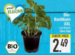 Edeka Bio bio-basilikum xxl Angebot