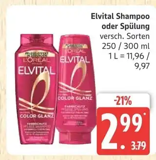 Marktkauf L'oreal elvital shampoo Angebot